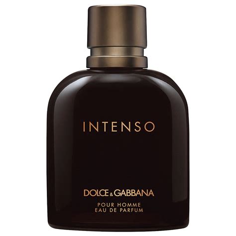 review dolce gabbana intenso|intenso dolce gabbana price.